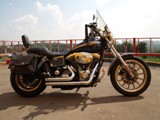 Harley-Davidson FXDL Dyna Low Rider Anniversary - 1450 cc (100th Anniversary)