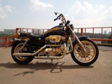 Harley-Davidson XL 883 Sportster Hugger Anniversary - 883 cc (100th Anniversary)